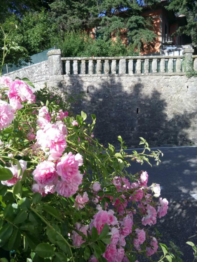 Casa Bartolacci Cozy Apartment Bivigliano Екстер'єр фото