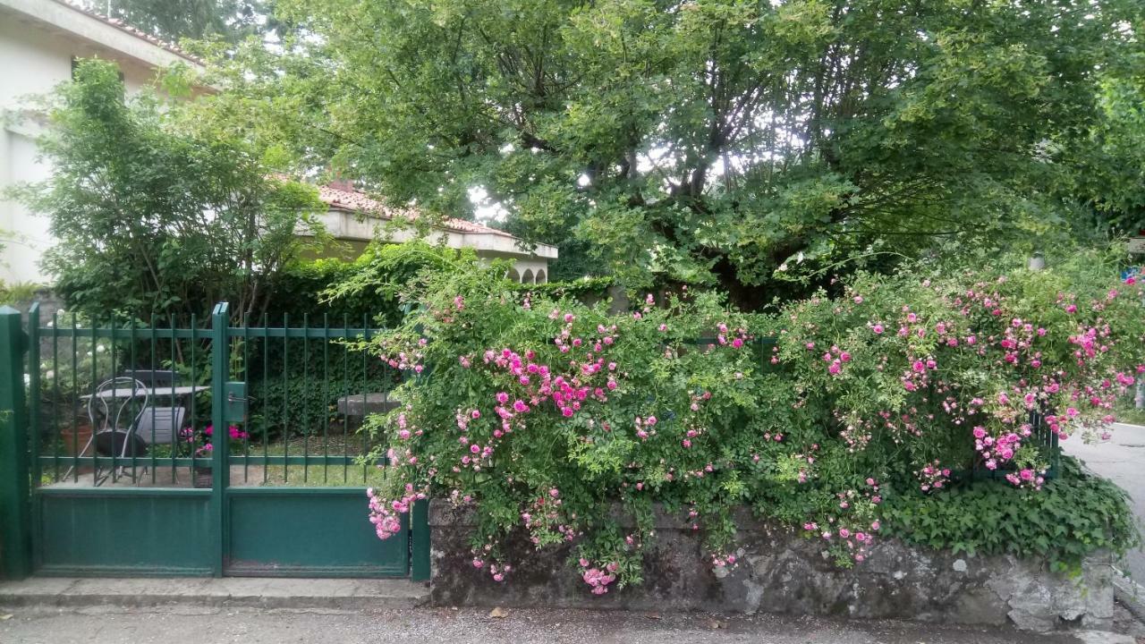 Casa Bartolacci Cozy Apartment Bivigliano Екстер'єр фото
